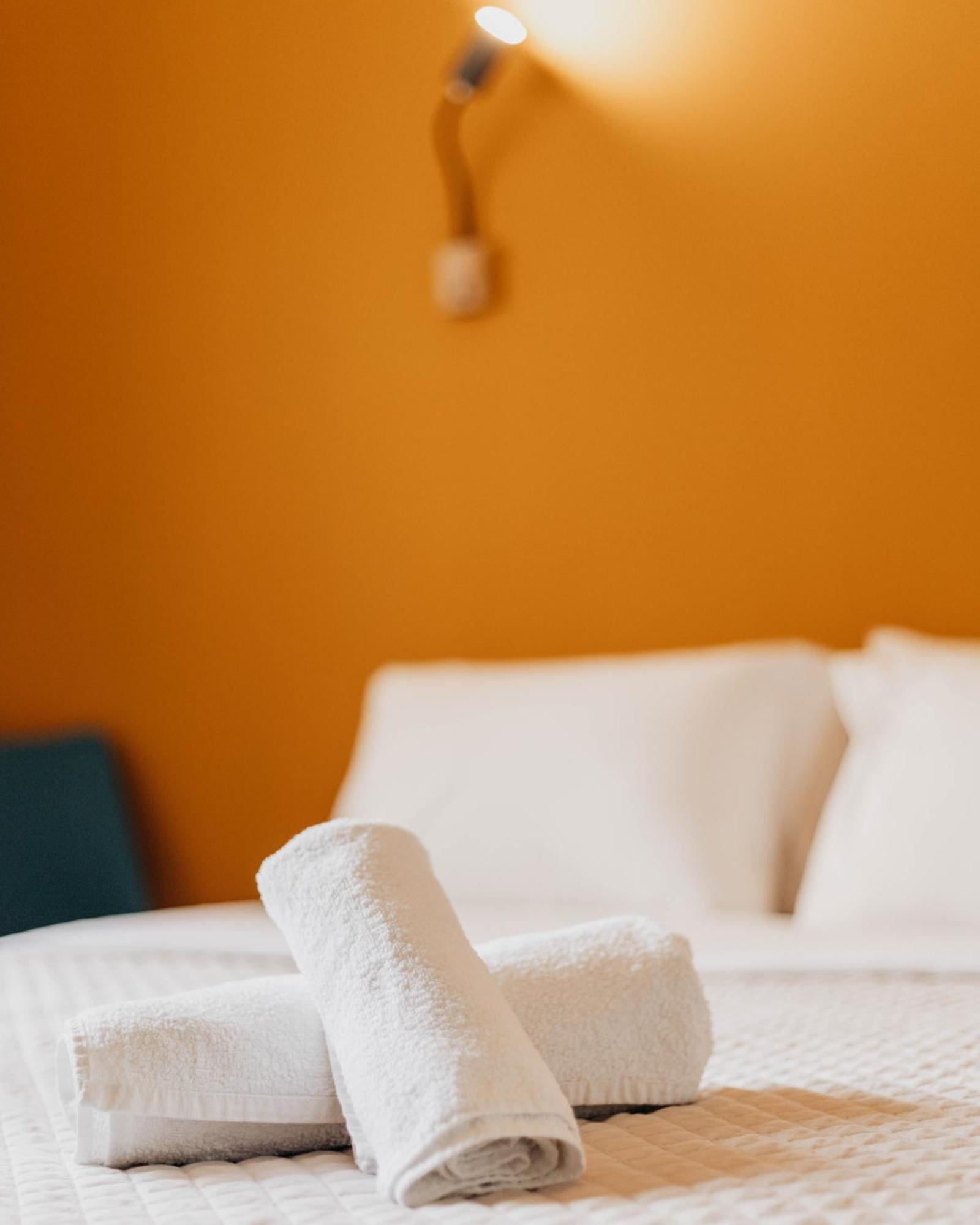 Vivid Cozy In